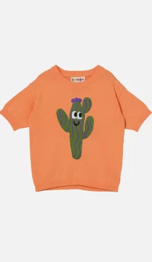 dkgv041110i1_orange